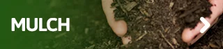 Mulch