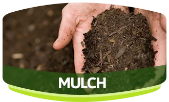 Mulch