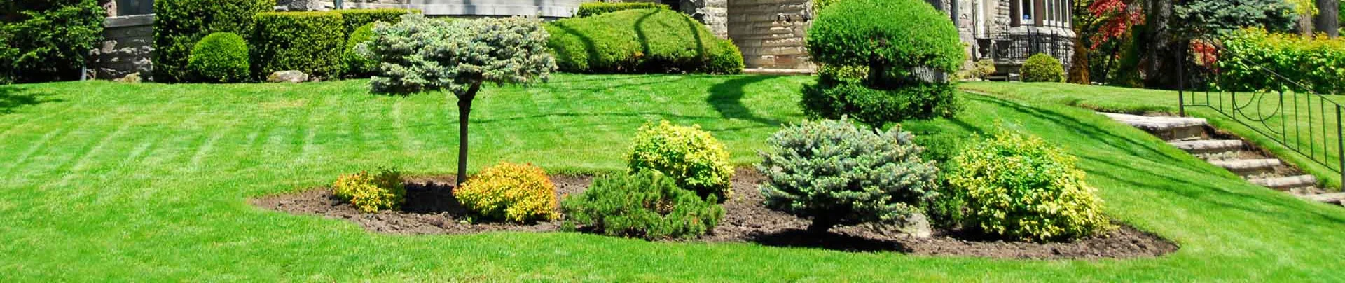 Savarino Brothers Garden Center