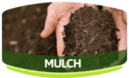 Mulch